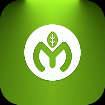 Yashil Makon logo